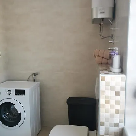 Apartment Nika